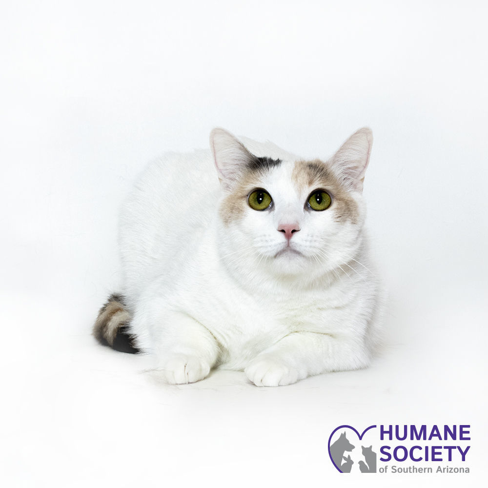 Adopt a friend: Betty
